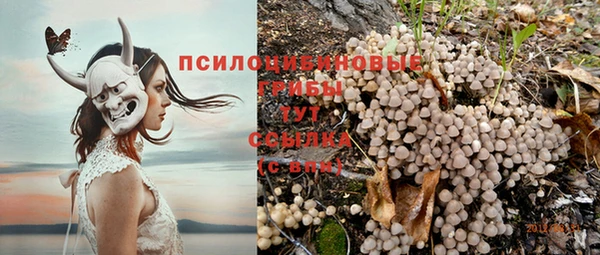 спиды Куйбышев