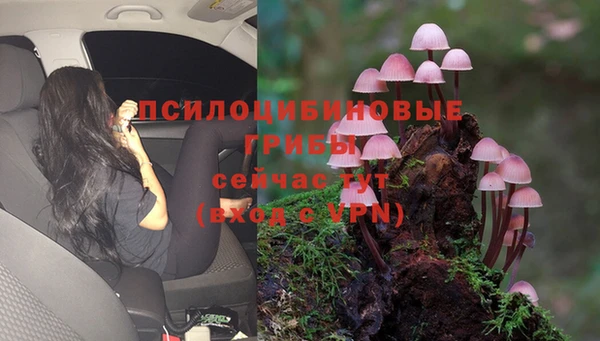спиды Куйбышев