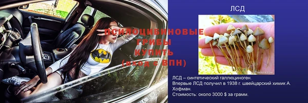 спиды Куйбышев